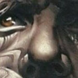 Meet your Posher, Marco